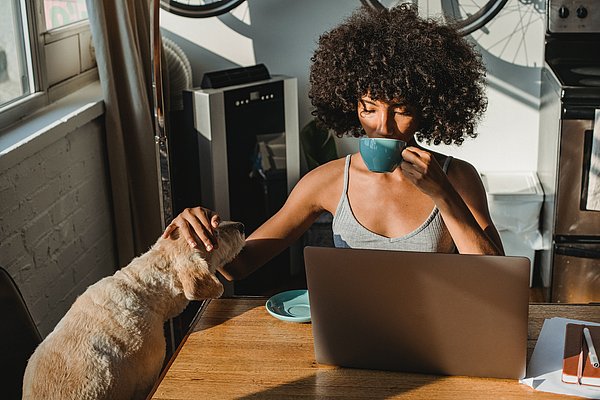 Literaturrecherche von Zuhause aus Entspanntes Arbeiten am Laptop